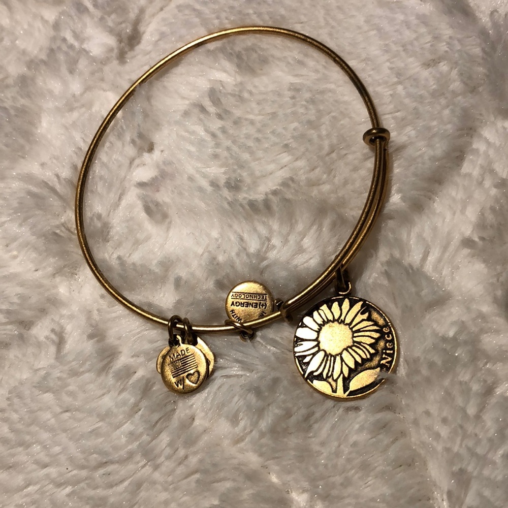Alex and Ani niece bangle